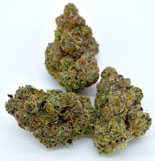 <span style="color: blue;"><u>White Gumbo - Indica</u></span> <br/ >$40 -$125